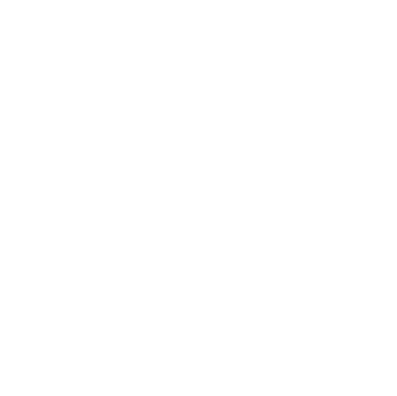 Experience Icon