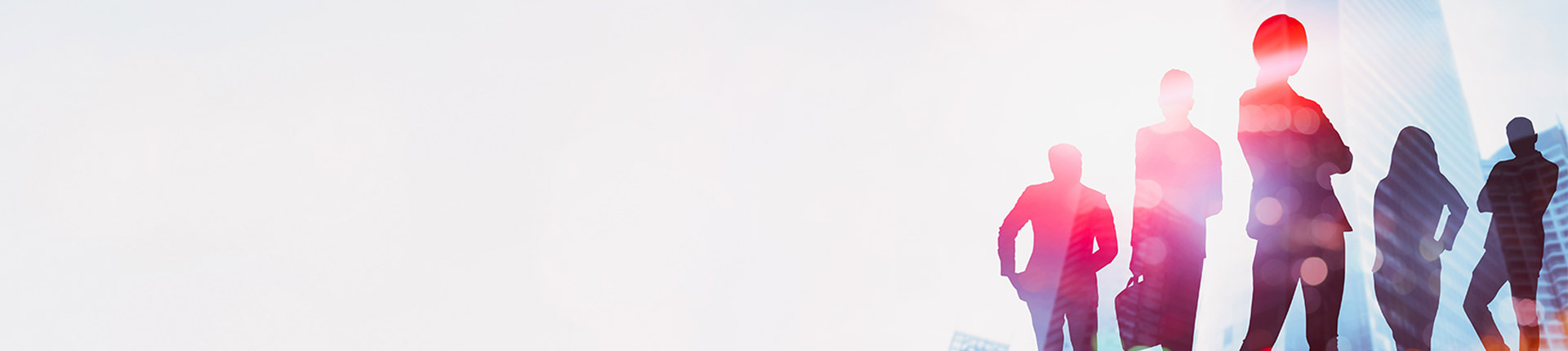 Company Profile